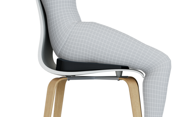 3 in 1 Lumbar Wedges